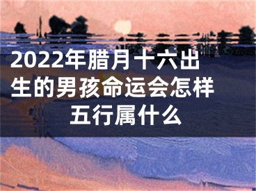 2022年腊月十六出生的男孩命运会怎样 五行属什么