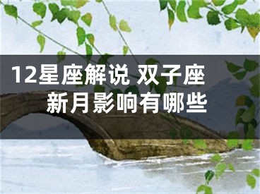 12星座解说 双子座新月影响有哪些