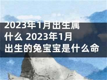 2023年1月出生属什么 2023年1月出生的兔宝宝是什么命