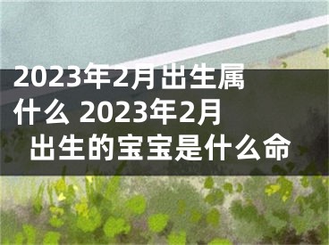 2023年2月出生属什么 2023年2月出生的宝宝是什么命