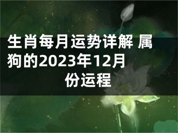 生肖每月运势详解 属狗的2023年12月份运程
