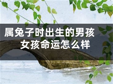属兔子时出生的男孩 女孩命运怎么样