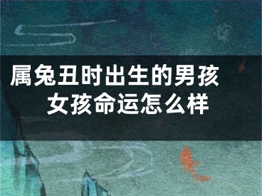 属兔丑时出生的男孩 女孩命运怎么样