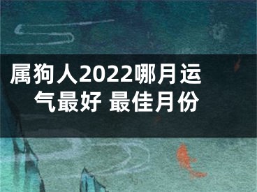 属狗人2022哪月运气最好 最佳月份