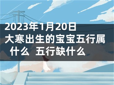 2023年1月20日大寒出生的宝宝五行属什么  五行缺什么