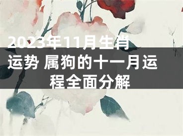 2023年11月生肖运势 属狗的十一月运程全面分解