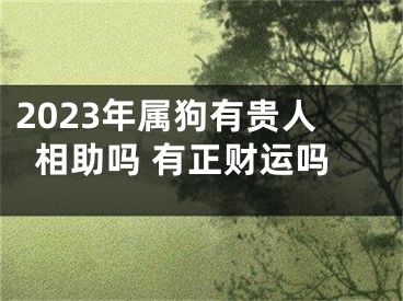 2023年属狗有贵人相助吗 有正财运吗