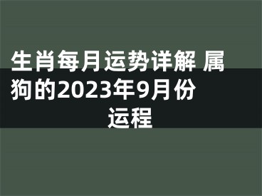 生肖每月运势详解 属狗的2023年9月份运程