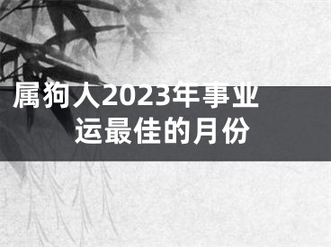 属狗人2023年事业运最佳的月份