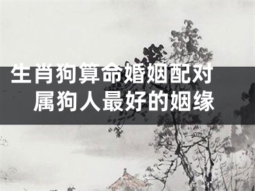 生肖狗算命婚姻配对 属狗人最好的姻缘