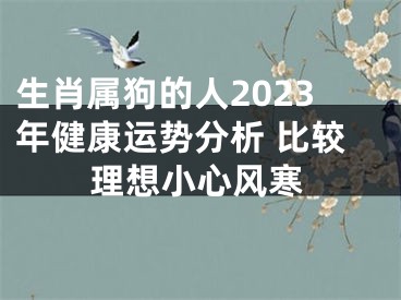 生肖属狗的人2023年健康运势分析 比较理想小心风寒