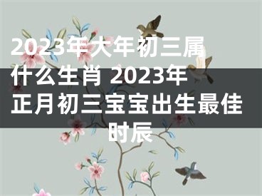 2023年大年初三属什么生肖 2023年正月初三宝宝出生最佳时辰