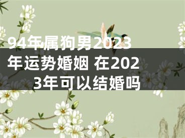 94年属狗男2023年运势婚姻 在2023年可以结婚吗