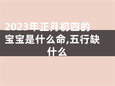 2023年正月初四的宝宝是什么命,五行缺什么
