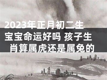 2023年正月初二生宝宝命运好吗 孩子生肖算属虎还是属兔的