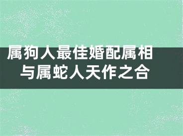 属狗人最佳婚配属相  与属蛇人天作之合