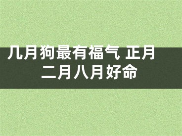 几月狗最有福气 正月二月八月好命