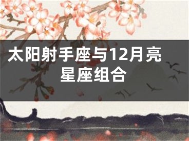 太阳射手座与12月亮星座组合