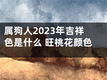 属狗人2023年吉祥色是什么 旺桃花颜色