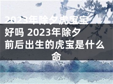 2023年除夕虎宝宝好吗 2023年除夕前后出生的虎宝是什么命