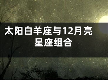 太阳白羊座与12月亮星座组合