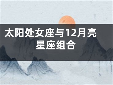 太阳处女座与12月亮星座组合