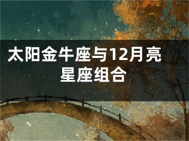 太阳金牛座与12月亮星座组合