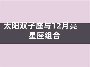 太阳双子座与12月亮星座组合