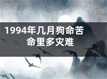 1994年几月狗命苦 命里多灾难
