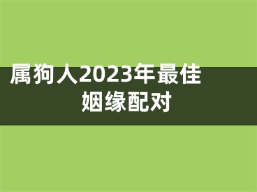 属狗人2023年最佳姻缘配对