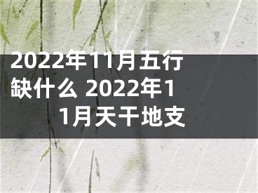 2022年11月五行缺什么 2022年11月天干地支
