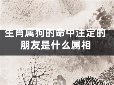 生肖属狗的命中注定的朋友是什么属相