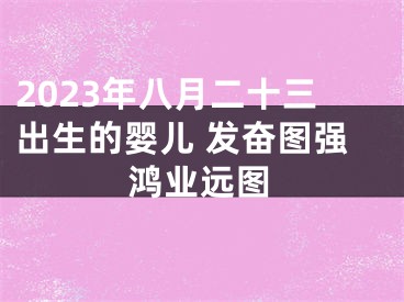 2023年八月二十三出生的婴儿 发奋图强鸿业远图