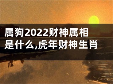 属狗2022财神属相是什么,虎年财神生肖