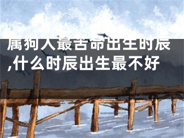 属狗人最苦命出生时辰,什么时辰出生最不好 