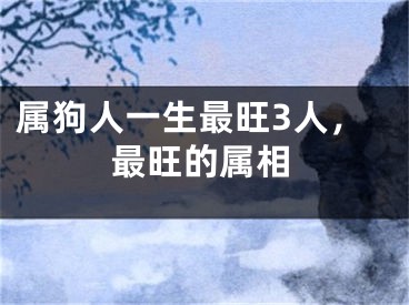 属狗人一生最旺3人，最旺的属相