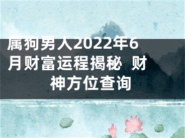 属狗男人2022年6月财富运程揭秘  财神方位查询
