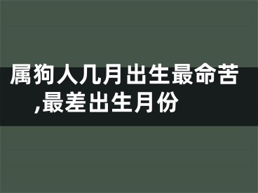 属狗人几月出生最命苦,最差出生月份 