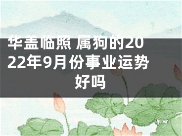 华盖临照 属狗的2022年9月份事业运势好吗
