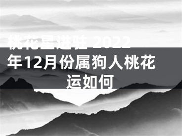 桃花星进驻 2022年12月份属狗人桃花运如何
