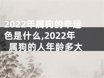 2022年属狗的幸运色是什么,2022年属狗的人年龄多大 