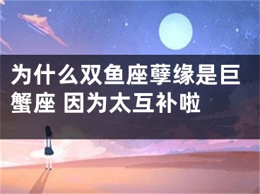 为什么双鱼座孽缘是巨蟹座 因为太互补啦 