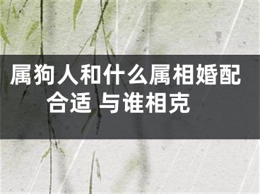 属狗人和什么属相婚配合适 与谁相克