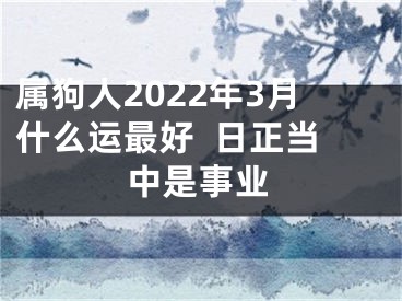 属狗人2022年3月什么运最好  日正当中是事业