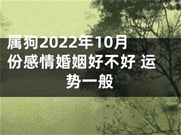 属狗2022年10月份感情婚姻好不好 运势一般