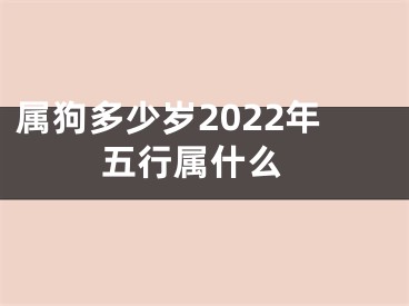 属狗多少岁2022年 五行属什么