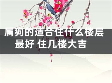 属狗的适合住什么楼层最好 住几楼大吉