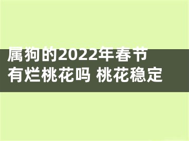 属狗的2022年春节有烂桃花吗 桃花稳定