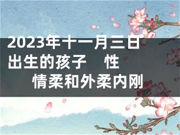 2023年十一月三日出生的孩子    性情柔和外柔内刚