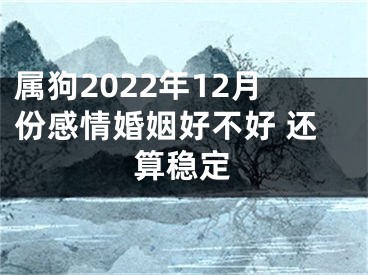属狗2022年12月份感情婚姻好不好 还算稳定